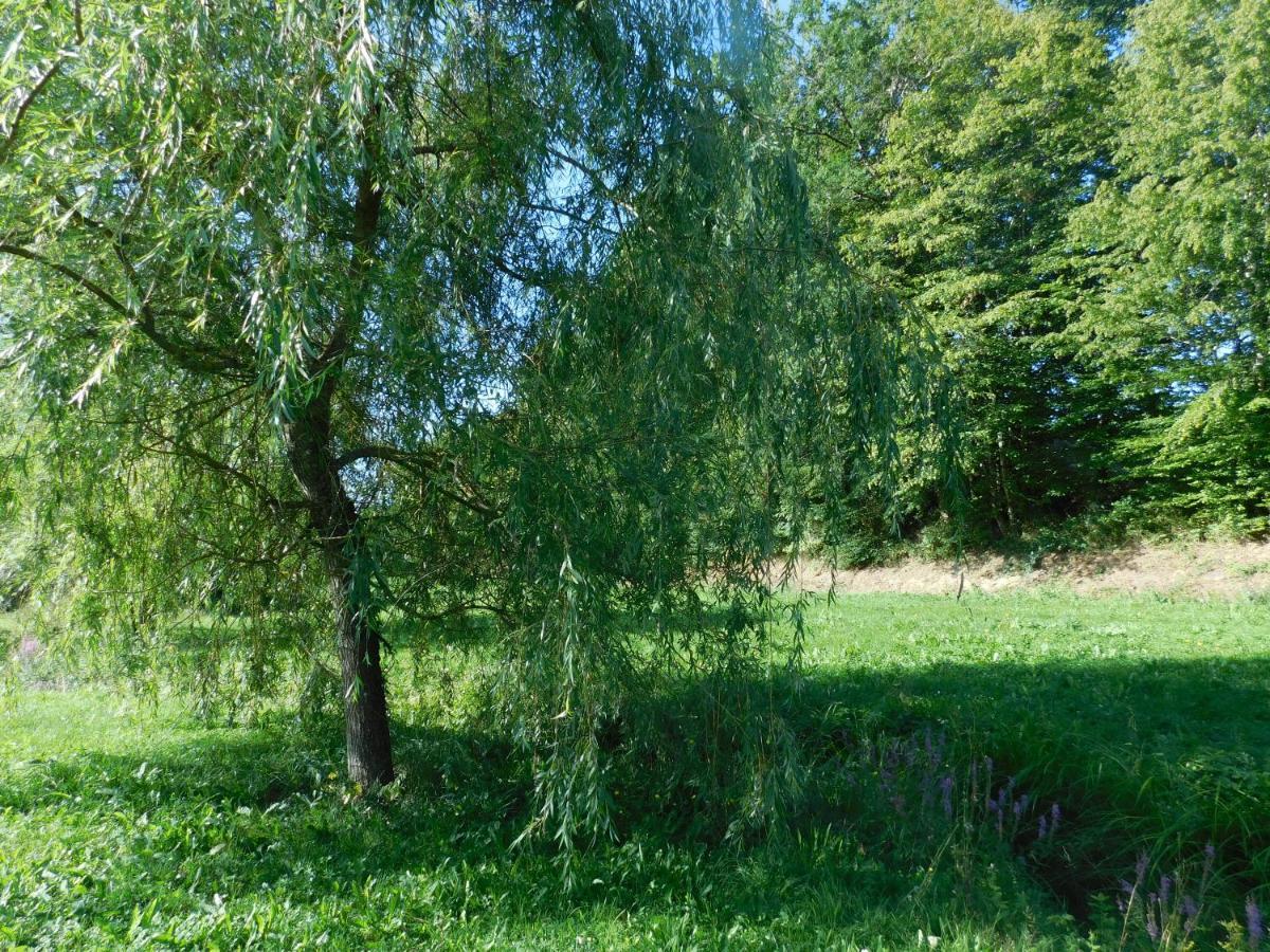 Bed and Breakfast Du Coq A L'Ame Naves  Zewnętrze zdjęcie
